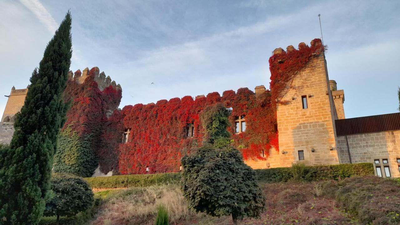 Hostal Rural Villa Vieja Olite Exterior foto